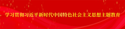 学习贯彻习近平新时代中国特色社会主义思想主题教育